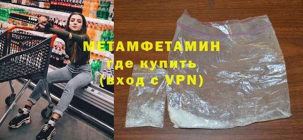 индика Вяземский