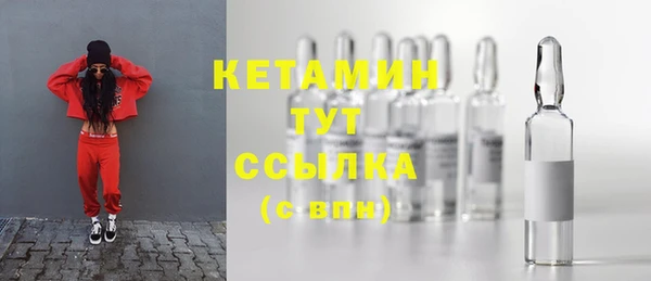 индика Вяземский