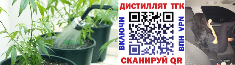 Дистиллят ТГК THC oil  ОМГ ОМГ как зайти  Йошкар-Ола 